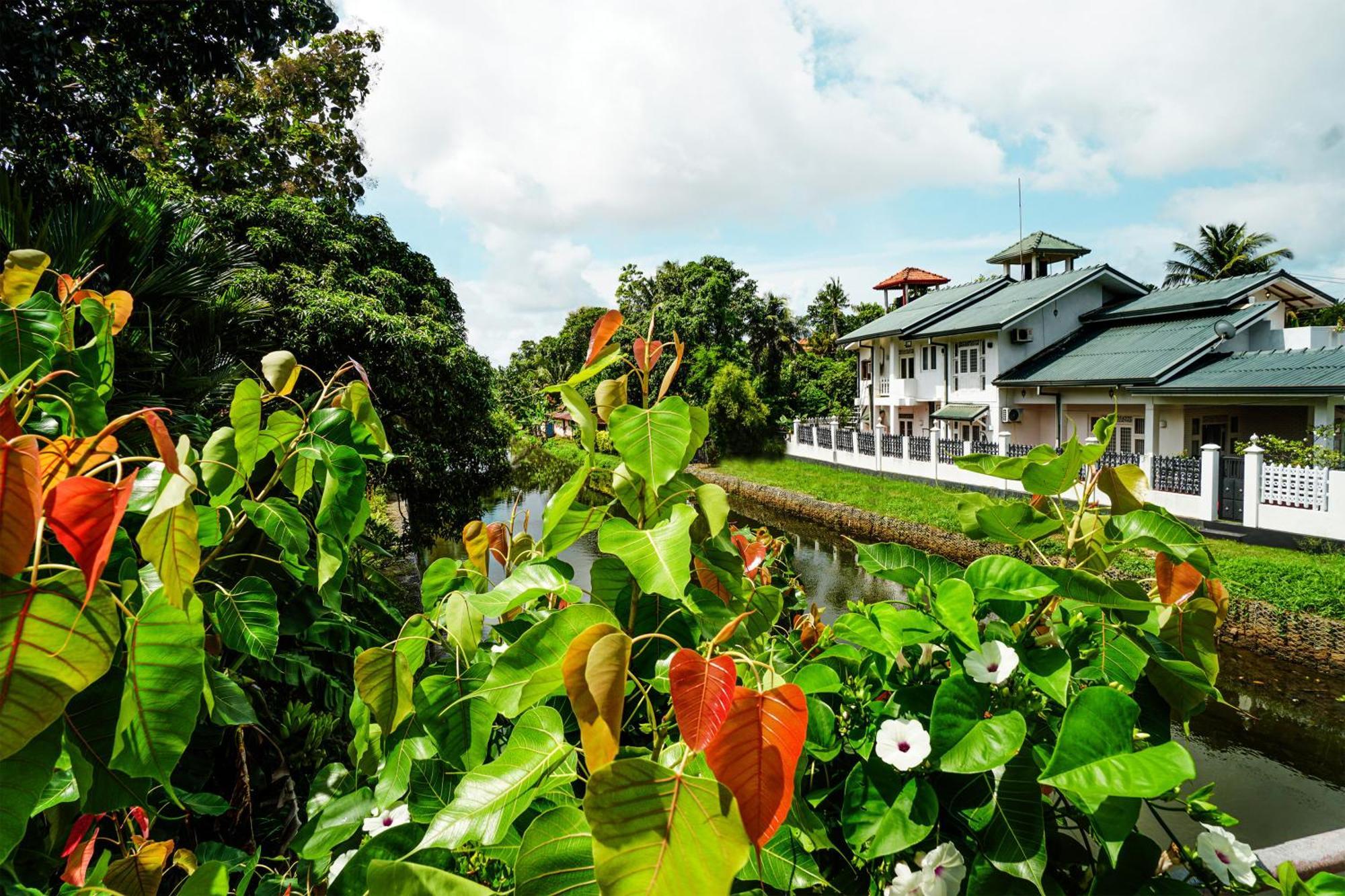Ayur Ayur White Sail Villa Dalupotha Dış mekan fotoğraf